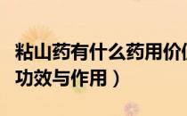 粘山药有什么药用价值和营养价值（粘山药的功效与作用）