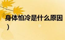 身体怕冷是什么原因（身体怕冷怎么调理最好）