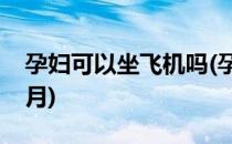 孕妇可以坐飞机吗(孕妇可以坐飞机吗前三个月)