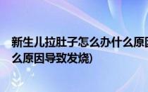 新生儿拉肚子怎么办什么原因导致(新生儿拉肚子怎么办?什么原因导致发烧)