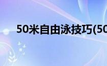 50米自由泳技巧(50米自由泳技巧动作)