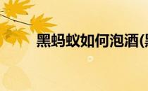 黑蚂蚁如何泡酒(黑蚂蚁如何泡酒?)