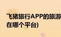 飞猪旅行APP的旅游保险在哪购买(飞猪旅行在哪个平台)