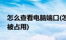 怎么查看电脑端口(怎么查看电脑端口号是否被占用)