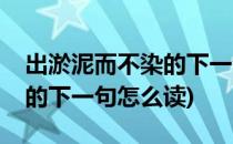 出淤泥而不染的下一句怎么念(出淤泥而不染的下一句怎么读)