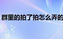 群里的拍了拍怎么弄的(群里拍了拍怎么操作)