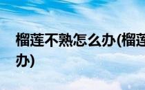 榴莲不熟怎么办(榴莲生怎么办榴莲不熟怎么办)