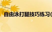 自由泳打腿技巧练习(自由泳游泳打腿技巧)