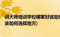 训犬师培训学校哪家好该如何选择(训犬师培训学校哪家好?该如何选择地方)