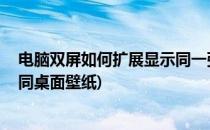电脑双屏如何扩展显示同一张壁纸 长壁纸(双屏怎么显示不同桌面壁纸)