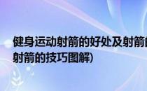 健身运动射箭的好处及射箭的技巧(健身运动,射箭的好处及射箭的技巧图解)