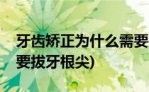 牙齿矫正为什么需要拔牙(牙齿矫正为什么需要拔牙根尖)