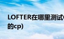 LOFTER在哪里测试CP组合名(lofter比较火的cp)