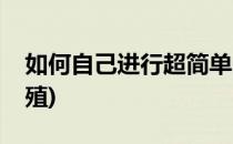 如何自己进行超简单的刺玫繁殖(刺梅怎么繁殖)