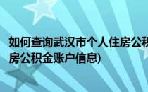 如何查询武汉市个人住房公积金账户(如何查询武汉市个人住房公积金账户信息)