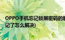 OPPO手机忘记锁屏密码的解决方法(oppo手机锁屏密码忘记了怎么解决)