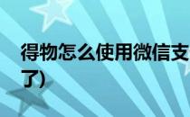 得物怎么使用微信支付(得物怎么微信支付不了)