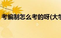 考编制怎么考的呀(大学生考编制怎么考的呀)