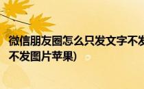 微信朋友圈怎么只发文字不发图片(微信朋友圈怎么只发文字不发图片苹果)