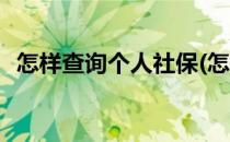 怎样查询个人社保(怎样查询个人社保信息)