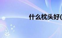 什么枕头好(什么枕头好)