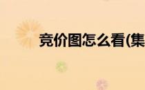 竞价图怎么看(集合竞价图怎么看)