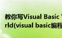 教你写Visual Basic VB第一个程序HelloWorld(visual basic编程实例)