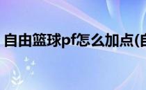 自由篮球pf怎么加点(自由篮球pf特性怎么加)