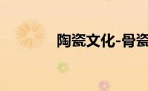 陶瓷文化-骨瓷(骨瓷 骨质瓷)