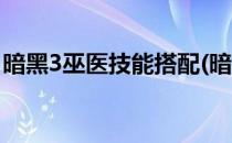 暗黑3巫医技能搭配(暗黑3巫医技能搭配推荐)