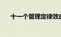 十一个管理定律效应(管理的十大定律)