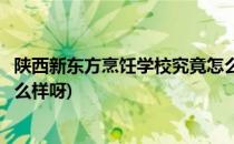 陕西新东方烹饪学校究竟怎么样(陕西新东方烹饪学校究竟怎么样呀)