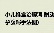 小儿推拿治腹泻 附动图必须人手一份(小儿推拿腹泻手法图)