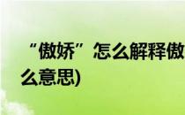 “傲娇”怎么解释傲娇是什么意思(傲娇婊什么意思)