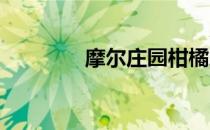 摩尔庄园柑橘凤蝶在哪捕捉