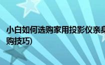 小白如何选购家用投影仪亲身经验总结这四点(家用投影仪选购技巧)
