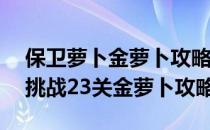 保卫萝卜金萝卜攻略[23]挑战23(保卫萝卜1挑战23关金萝卜攻略)