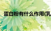 蛋白粉有什么作用(乳清蛋白粉有什么作用)