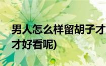 男人怎么样留胡子才好看(男人怎么样留胡子才好看呢)