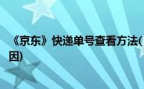 《京东》快递单号查看方法(《京东》快递单号查看方法与原因)