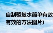 自制驱蚊水简单有效的方法(自制驱蚊水简单有效的方法图片)
