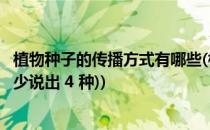 植物种子的传播方式有哪些(植物种子的传播方式有哪些?(至少说出 4 种))