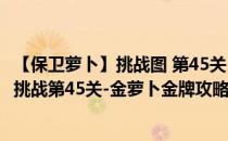 【保卫萝卜】挑战图 第45关 完美金萝卜通关攻略(保卫萝卜:挑战第45关-金萝卜金牌攻略)