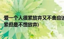 爱一个人很累放弃又不舍应该怎么办是否要继续(爱一个人太累但是不想放弃)