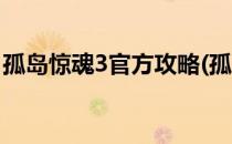 孤岛惊魂3官方攻略(孤岛惊魂3官方攻略图文)
