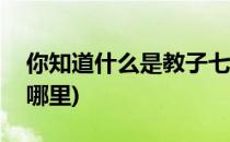 你知道什么是教子七不责吗(教子七不责出自哪里)