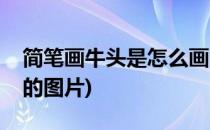简笔画牛头是怎么画的(简笔画牛头是怎么画的图片)