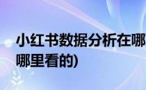 小红书数据分析在哪里看(小红书数据分析在哪里看的)