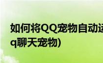 如何将QQ宠物自动运行怎么关闭(怎么关闭qq聊天宠物)