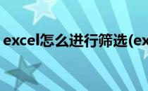 excel怎么进行筛选(excel怎么进行筛选分类)